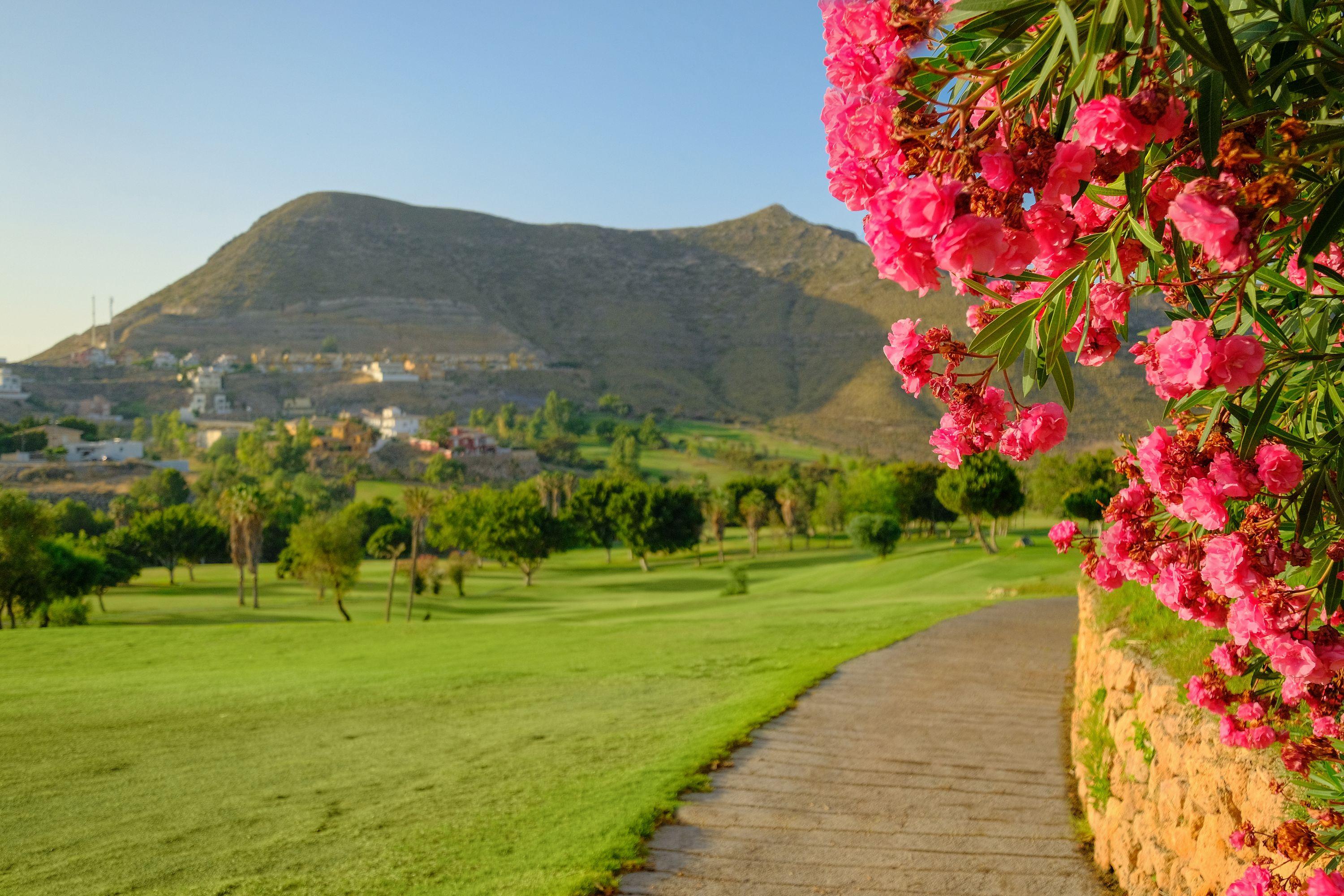 Hotel Envia Almería Spa&Golf Aguadulce (Almeria) Exterior foto View of the Sierra de Callosa